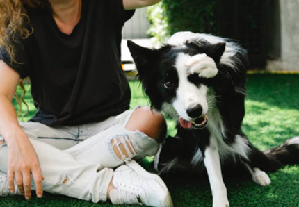 Trovata la 13enne persa per cercare il cane